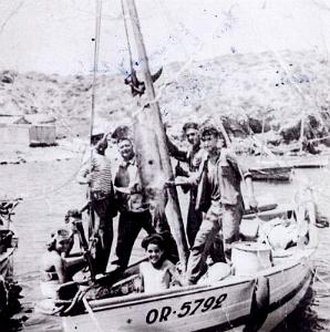 Oran- SDV- 0333